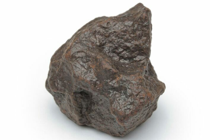 Chondrite Meteorite ( g) - Western Sahara Desert #222960